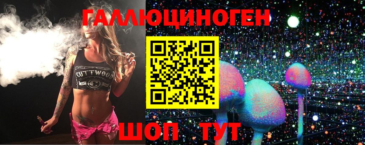 Псилоцибиновые грибы Psilocybe Ростов Великий