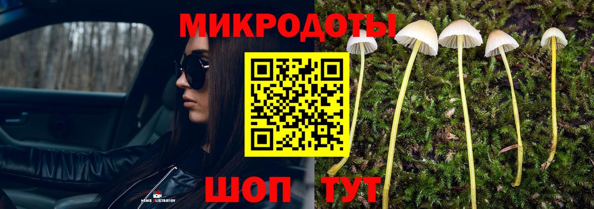 Галлюциногенные грибы мухоморы  Вход с VPN  Галлюциногенные грибы GOLDEN TEACHER  закладки  Ростов Великий 
